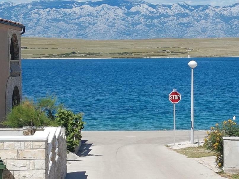 Apartman Irena Vir Bagian luar foto